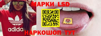 дмт Гатчина