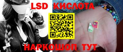 дмт Гатчина
