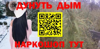 дмт Гатчина