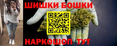 дмт Гатчина