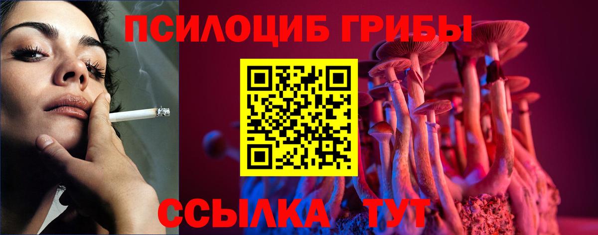 Пугачёв  Псилоцибиновые грибы мухоморы  Псилоцибиновые грибы GOLDEN TEACHER  Вход с VPN 
